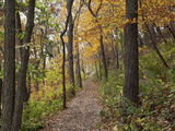 Trail to Great Bear and Little Bear Mound  Effigy Mounds National Monument  Iowa  USA