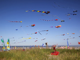 Kites  International Kite Festival  Long Beach  Washington  USA