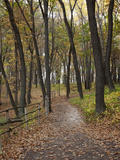 Trail to Great Bear and Little Bear Mound  Effigy Mounds National Monument  Iowa  USA