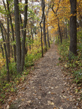 Trail to Great Bear and Little Bear Mound  Effigy Mounds National Monument  Iowa  USA