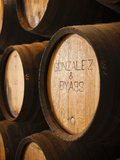 Sherry Casks  Bodegas Gonzalez Byass  Jerez De La Frontera  Spain