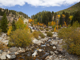 Alluvial Fan  Rocky Mountain National Park  Colorado  USA