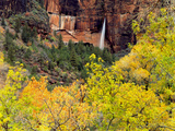 Ephemeral Waterfall  Zion National Park  Utah  USA