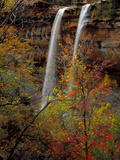 Waterfall  Zion National Park  Utah  USA