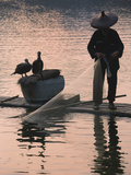 Fisherman Fishing with Cormorants on Bamboo Raft on Li River at Dusk  Yangshuo  Guangxi  China