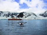 Cruise Ship Anchored in Neko Harbor  Gerlache Strait  Antarctic Peninsula  Antarctica
