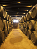Sherry Casks  Bodegas Gonzalez Byass  Jerez De La Frontera  Spain