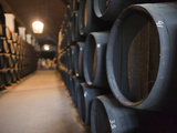 Sherry Casks  Bodegas Gonzalez Byass  Jerez De La Frontera  Spain