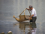 Catching Fish with Fishing Basket in the River  Guangxi  China