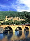 Heidelberg Castle  Heidelberg  Germany