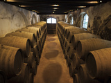 Sherry Casks  Bodegas Gonzalez Byass  Jerez De La Frontera  Spain