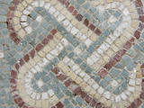 Archaeological Museum of Sinop  Mosaics of Meydankapi  Paphlagonia  Turkey