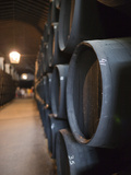 Sherry Casks  Bodegas Gonzalez Byass  Jerez De La Frontera  Spain