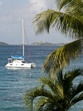 Catamaran  St John  United States Virgin Islands  USA  US Virgin Islands  Caribbean