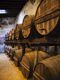 Sherry Casks  Bodegas Gonzalez Byass  Jerez De La Frontera  Spain