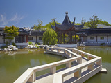 Chinese Gardens  Dunedin  Otago  South Island  New Zealand