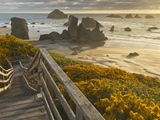 A Stairway Leads to the Beach in Bandon  Oregon  USA