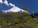 Villarrica Volcano  Villarrica National Park  Chile