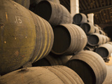 Sherry Casks  Bodegas Gonzalez Byass  Jerez De La Frontera  Spain