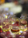 Sherry Tastings  Bodegas Gonzalez Byass  Jerez De La Frontera  Spain