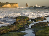 Surf on Four-Mile Beach  Santa Cruz Coast  California  USA