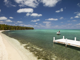 Half Moon Caye Natural Monument  Belize