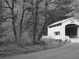 Wild Cat Covered Bridge  Lane County  Oregon  USA