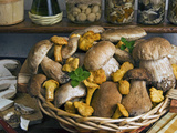 Penny Bun  Cap (Boletus Edulis)  Chanterelles (Cantharellus Cibarius)  Mushrooms  Italy