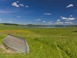 Alexander Pushkin Preserve  Pushkinskie Gory  Pskovskaya Oblast  Russia