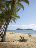 Palm Cove  Cairns  North Queensland  Australia