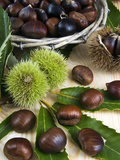 Sweet Chestnuts