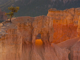 Bryce Canyon National Park  Utah  USA