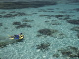 Snorkelers and Reef  Green Island  Great Barrier Reef Marine Park  North Queensland  Australia