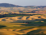 Palouse Farmland  Whitman County  Washington  USA