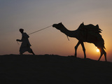 Man with Camel on the Desert at Sunset  Jodphur  Rajasthan  India