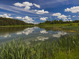 Alexander Pushkin Preserve  Pushkinskie Gory  Pskovskaya Oblast  Russia