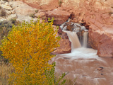 Waterfall  Capitol Reef National Park  Utah  USA