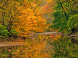 Dingmans Ferry  Pennsylvania  USA