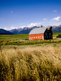 Red Barn in Field Near Joseph  Wallowa County  Oregon  USA