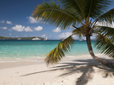 Tranquil White Sand Beach  St John  United States Virgin Islands  USA  US Virgin Islands  Caribbean