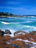 Beach  California  USA