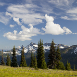 Alpine Meadow and Sarvent Glaciers  Mount Rainier National Park  Washington  USA