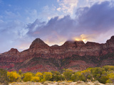 Zion National Park  Utah  USA