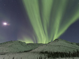 Northern Lights  White Mountain National Recreation Area  Alaska  USA