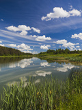 Alexander Pushkin Preserve  Pushkinskie Gory  Pskovskaya Oblast  Russia