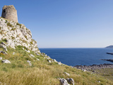 Torre Di San Emiliano in the Regional Park of Porto Selvaggio  Otranto Coast  Puglia  Italy