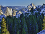 Half Dome in Evening Glow  Yosemite National Park  California  USA