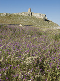 Torre Di San Emiliano in the Regional Park of Porto Selvaggio  Otranto Coast  Puglia  Italy