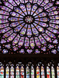 A Rose Window in Notre Dame Cathedral  Paris  France