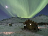 Northern Lights  White Mountain National Recreation Area  Alaska  USA